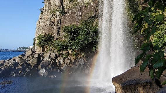 Tour privato di mezza giornata a sud e a ovest dell'isola di Jeju