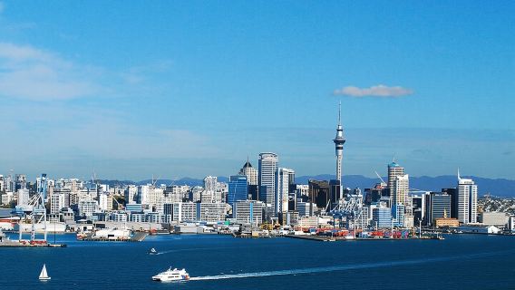 Tour di mezza giornata dei luoghi più importanti di Auckland (tour per piccoli gruppi)