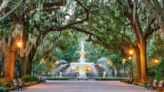 SavannahTours