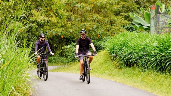 Noleggio biciclette elettriche a Boquete