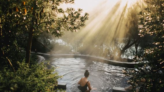 perjalanan satu hari ke Pemandian Air Panas Semenanjung Mornington & Rainbow Lodge