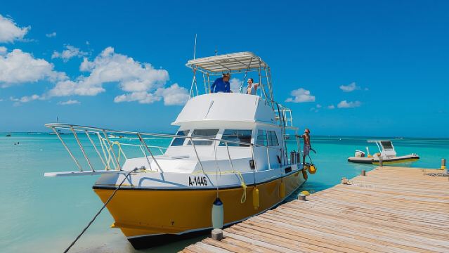 Menyelam Skuba Bertauliah Aruba