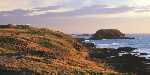 墨爾本菲利普島半日遊【中午出發丨定點接送丨企鵝島品質團】