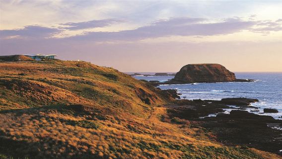 Melbourne Phillip Island Half-Day Tour [Depart at Noon | Scheduled Pickup | Penguin Island Quality Tour]