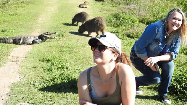Safari nelle zone umide dell'Iberá