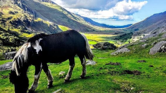 利物浦的北威爾士冒險觀光10小時包車一日遊
