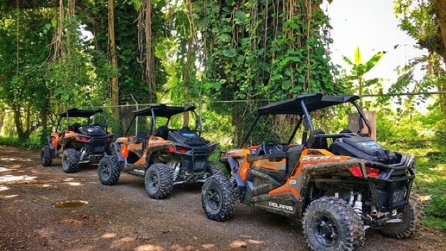 Rastafari Cultural ATV Community Experience from Negril