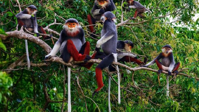 Hue to Dn/Hoi An: Hai Van Pass, beaches & Mt Monkey or vice versa