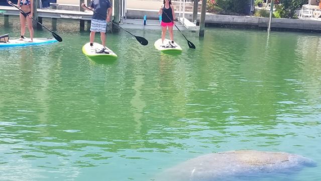 Tour in Kayak a Siesta Key