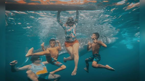 Oslob: Whale Sharks, Tumalog Falls & Sumilon Trio Adventure