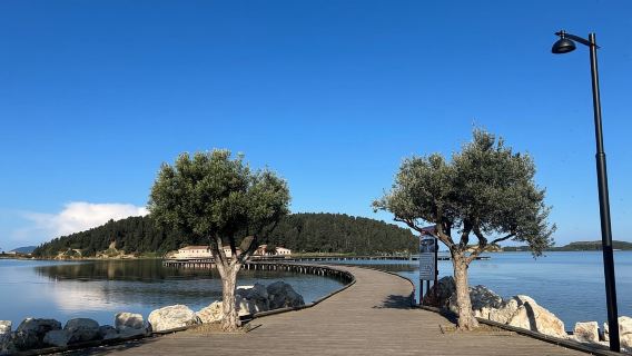 From Vlora: Zvernec, Apollonia & Berat Day Tour