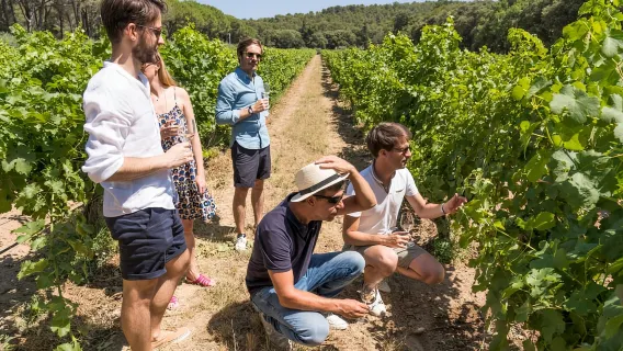 From Aix en Provence: Bandol & Cassis Full-day Wine Tour