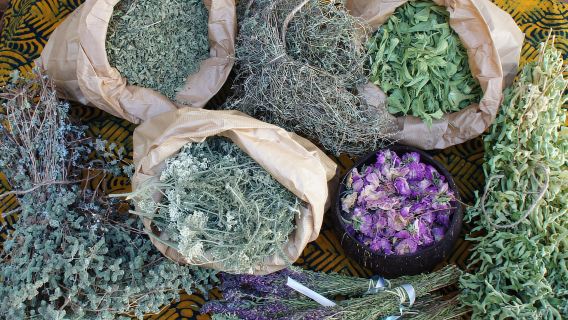 Troodos Villages and Kykkos Monastery from Paphos in Polish