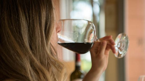 Museo del Vino de Valpolicella: Alquiler de bicicletas eléctricas con app y degustación