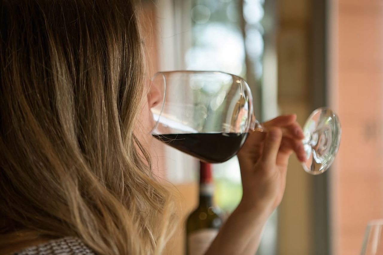 Museo del Vino Valpolicella: Noleggio E-bike con App e Degustazione