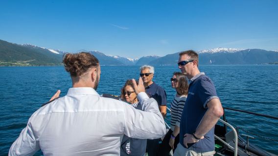 From Fjærland - Fjord Cruise to Balestrand one-way
