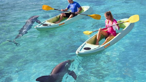 두바이: 아쿠아벤처 월드 워터파크 일일 이용권 & 돌고래 카약