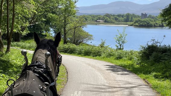 Công viên Quốc gia và Hồ Killarney Carriage Tours