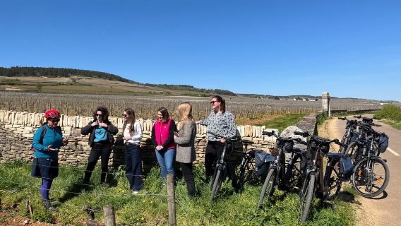 Dijon/Beaune: ทัวร์ Ebike Burgundy เต็มวัน ชิมอาหาร และอาหารกลางวัน
