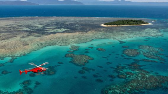 Cairns: vuelo panorámico de 60 minutos sobre el arrecife y la selva tropical
