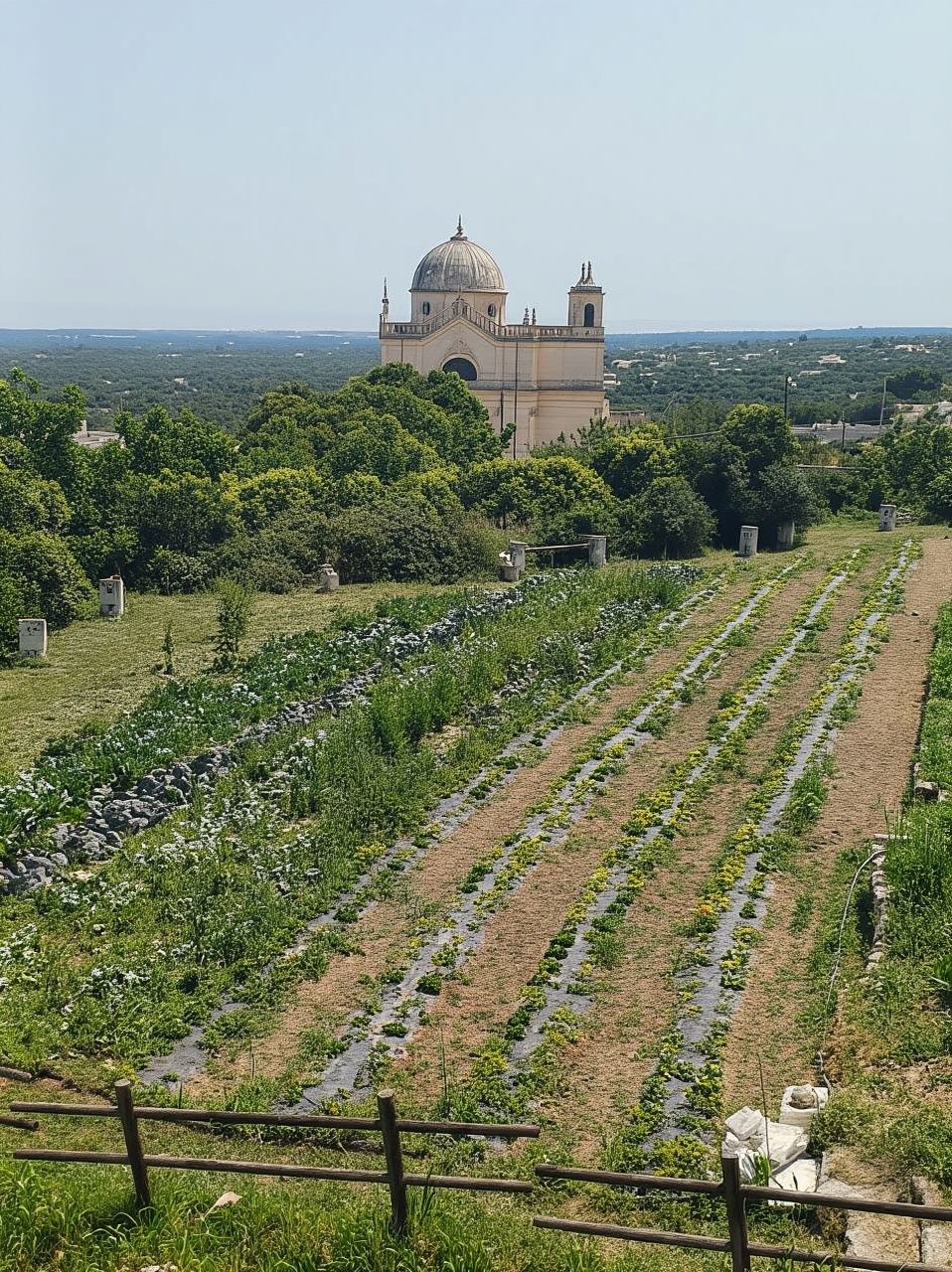 Spaziergang und Aperitif in den geheimen Gärten von Ostuni