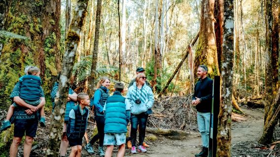 Bonorong Wildlife Sanctuary, Richmond, and Tasmanian Mountain Tour from Hobart