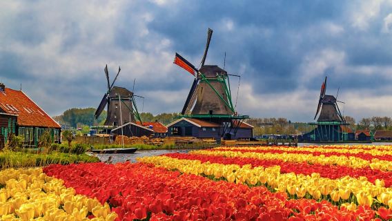 荷蘭庫肯霍夫公園+梵高博物館+阿姆斯特丹運河遊船一日遊