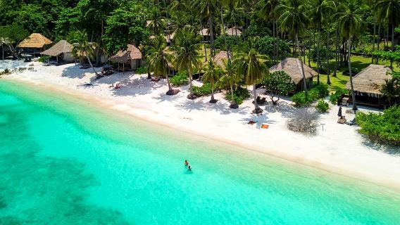 Biglietto combinato autobus + traghetto per Koh Tao da/per Bangkok/Hua Hin/Chumphon/Surat Thani/Phuket/Krabi/Isole Phi Phi/Aeroporto di Nakhon | posto standard / posto VIP