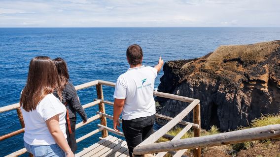Hidden Gems of São Miguel: Small-Group Tour & Lunch