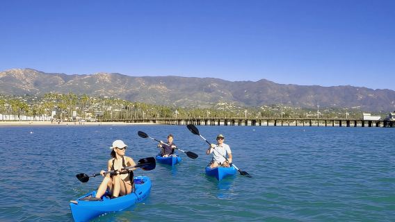 Kayak Tour of Santa Barbara with Experienced Guide