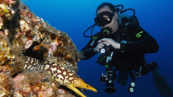 Guided Boat Dives for Certified Divers