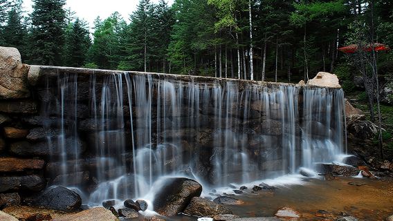 伊春+五営紅松観光エリア+湯旺県奇石観光エリアワンデーツアー【貸切チャーター、純粋観光】