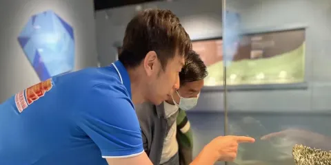 南京博物院2.5小時人工講解【精緻小團/文史老師趣味精講/含防蹭聽耳麥】