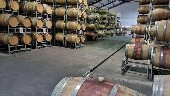 Частный Стелленбош, Винный тур Франшхук Паарл из Кейптауна