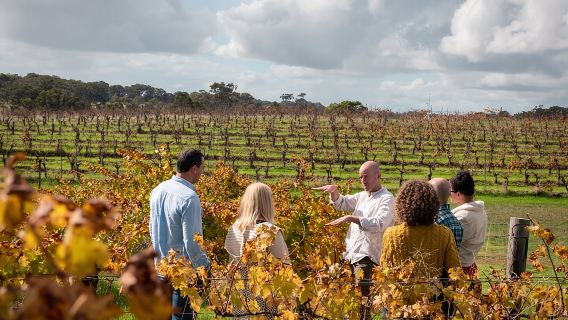 Geheimtipps: Ganztägige Wein-, Scones-, Mittagessen- und Regionalprodukt-Tour