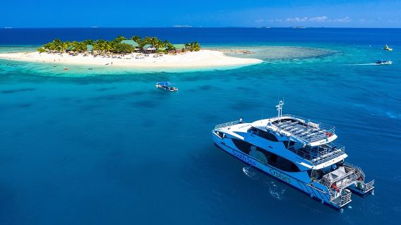 Denarau IslandTours