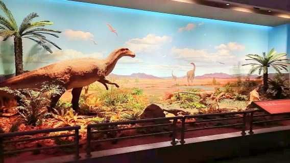 สวนสนุกเรือบรรทุกเครื่องบิน TEDA เทียนจิน พิพิธภัณฑ์การเดินเรือแห่งชาติ ทัวร์ส่วนตัวพร้อมไกด์ 1 วัน