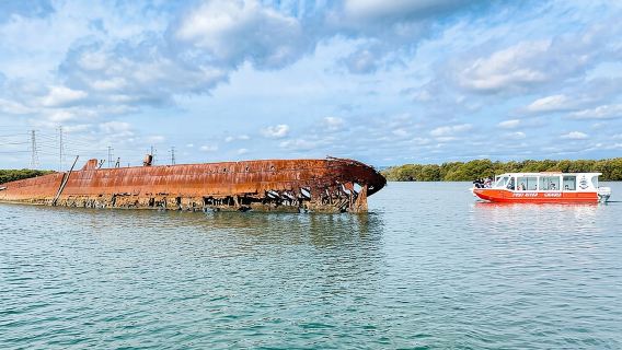 90 Minute Port River Dolphin & Ships Graveyard Cruise