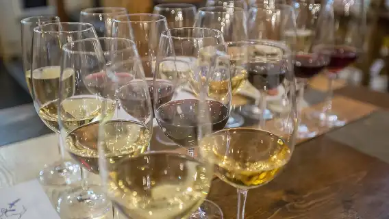 Evening Wine, Cheese, & Charcuterie Tasting in Budapest