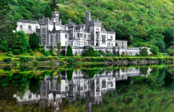 從戈爾韋出發：康尼馬拉導覽團，並於康尼馬拉國家公園停留3小時