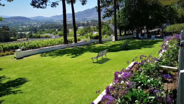 ทัวร์สเตลเลนบอชแบบส่วนตัว ทัวร์ชมไวน์ฟรานส์ชอคพาร์ล จากเคปทาวน์