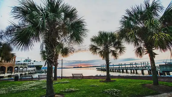 Charleston See-It-All Sightseeing Bus Tour