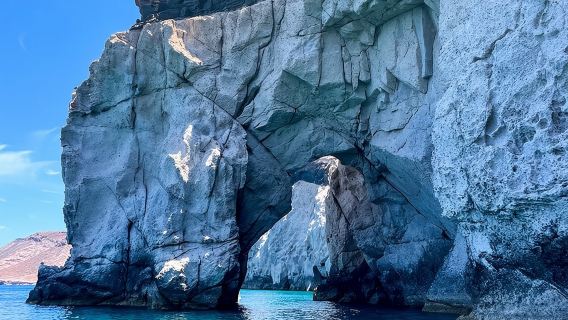 L'île du Saint-Esprit et les lions de mer