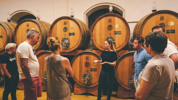 From Verona: Amarone Wine Tasting Tour with Transportation