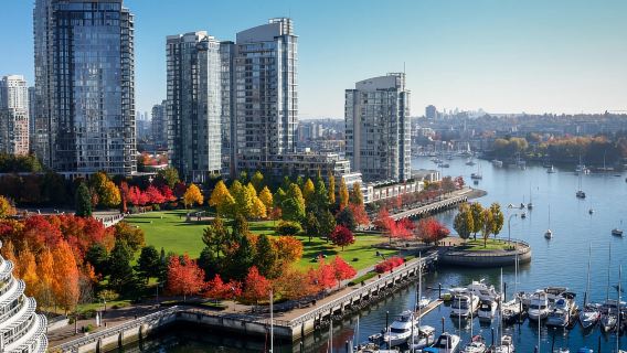 Vancouver: Recorrido privado a pie por la ciudad con paseo en barco para ver focas