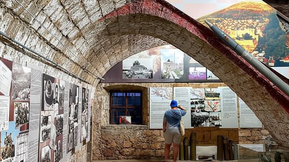 Desde Dubrovnik: tour de medio día a Cavtat