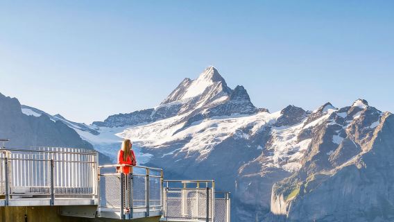 Jungfrau: Travel Pass for 3 to 8 Days