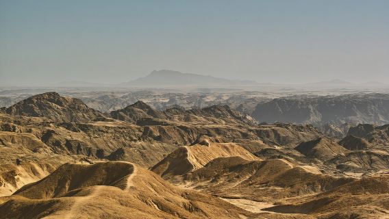 Экскурсия на берег: фламинго, дюна 7, Свакопмунд, вельвичия.