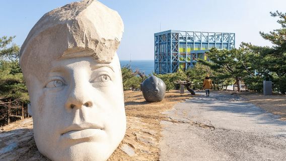 서울: 강릉 K팝 밴드 버스 정류장에서 안목해변까지