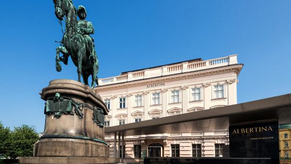 Tour privato salta fila del Palazzo Albertina e del Museo di Vienna